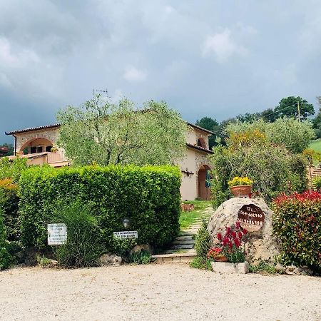 8380 Agriturismo L'Oleandro Montemerano Eksteriør billede