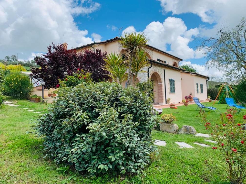 8380 Agriturismo L'Oleandro Montemerano Eksteriør billede