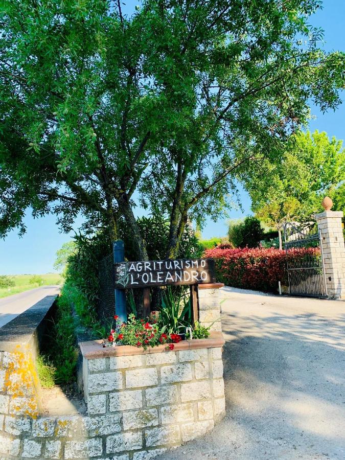 8380 Agriturismo L'Oleandro Montemerano Eksteriør billede
