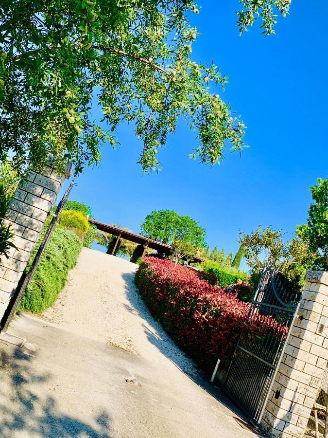 8380 Agriturismo L'Oleandro Montemerano Eksteriør billede